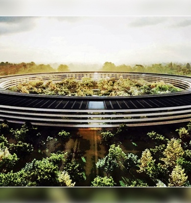 ƻ���ܲ���¥